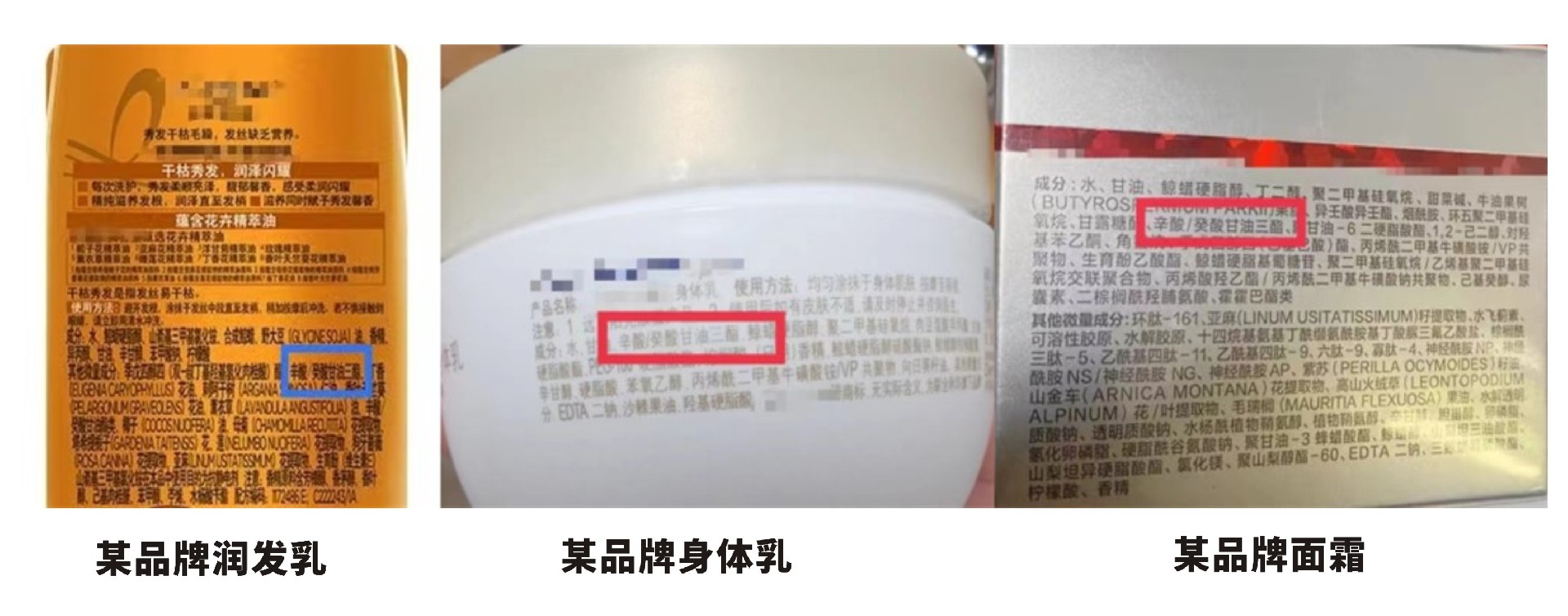 圖形1.jpg